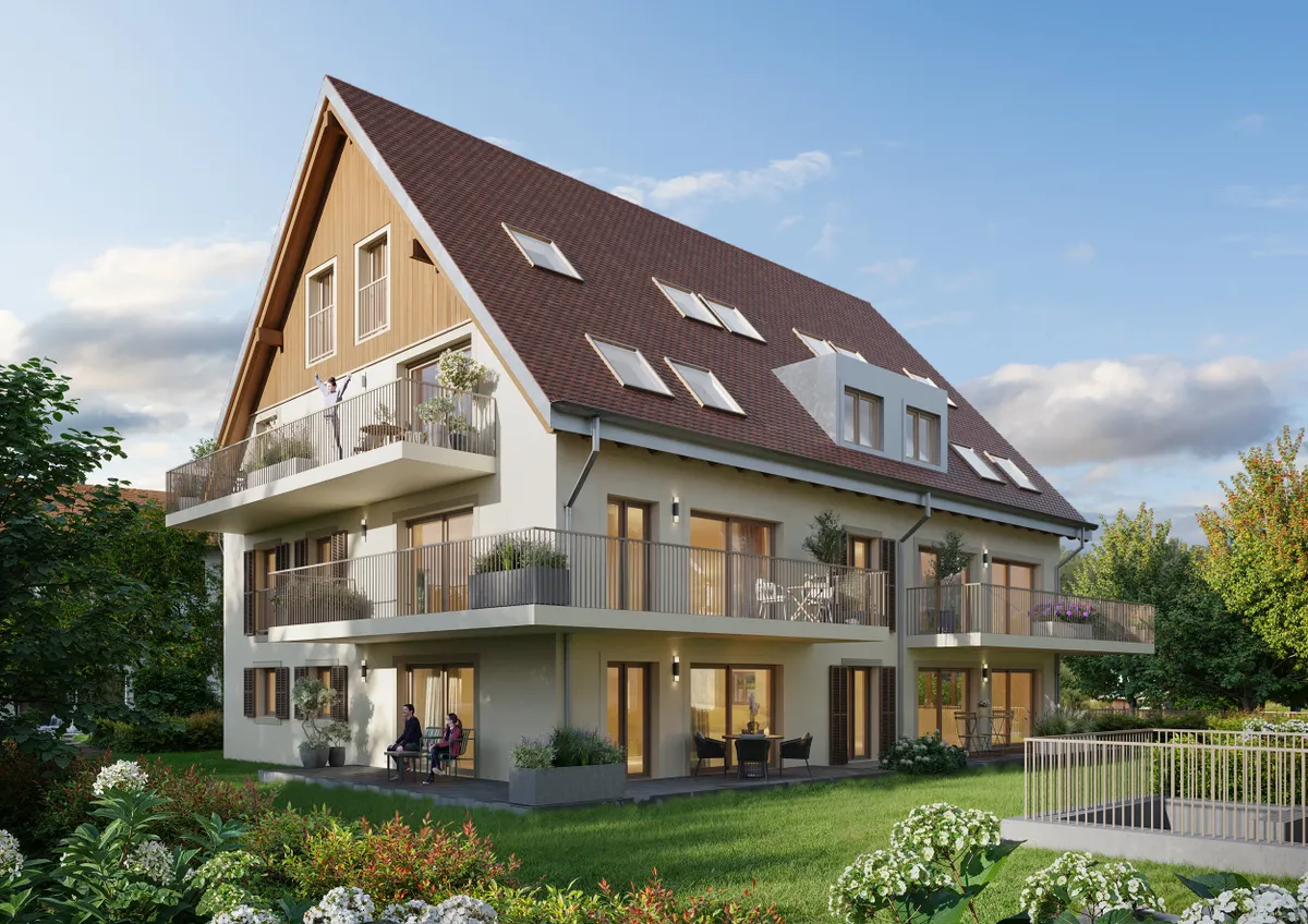 mszsmvzjpa__250602-v4