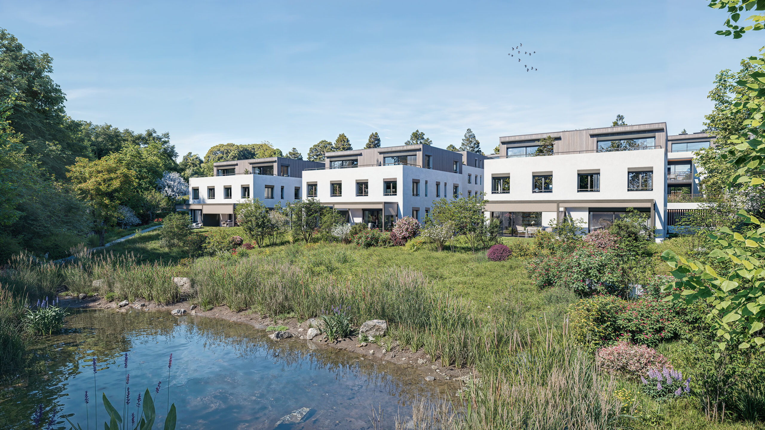 promotion_image_69c4f5bb87666