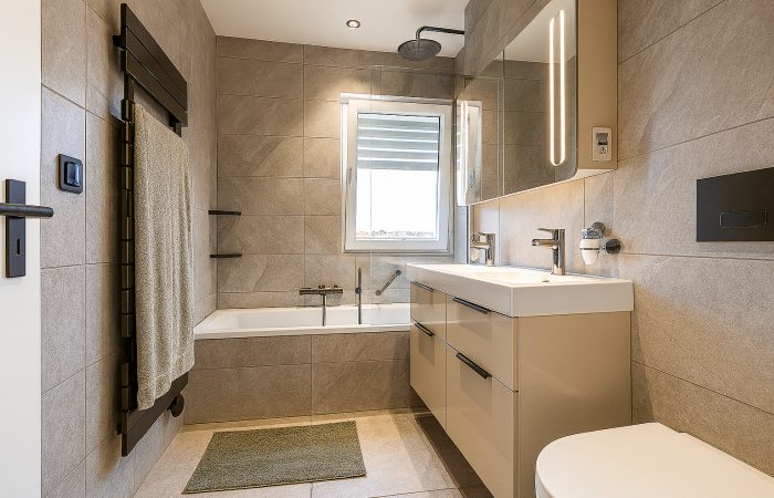 69586_salledebain