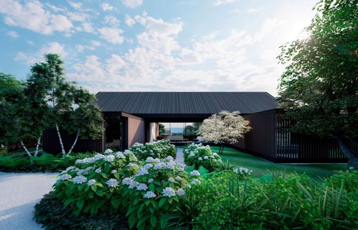 Rocaille_Devant_La_Maison