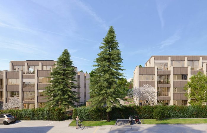 programme-neuf-clos-25-geneve-vue-exterieure-architecte-bois-comptoir-immobilier